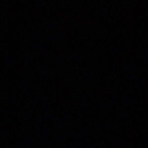 Meet your Posher, Ben